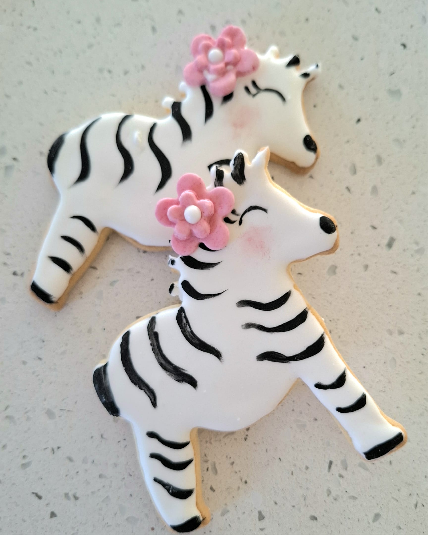 Artikkelbilde til artikkelen NET-kreft dagen 2025